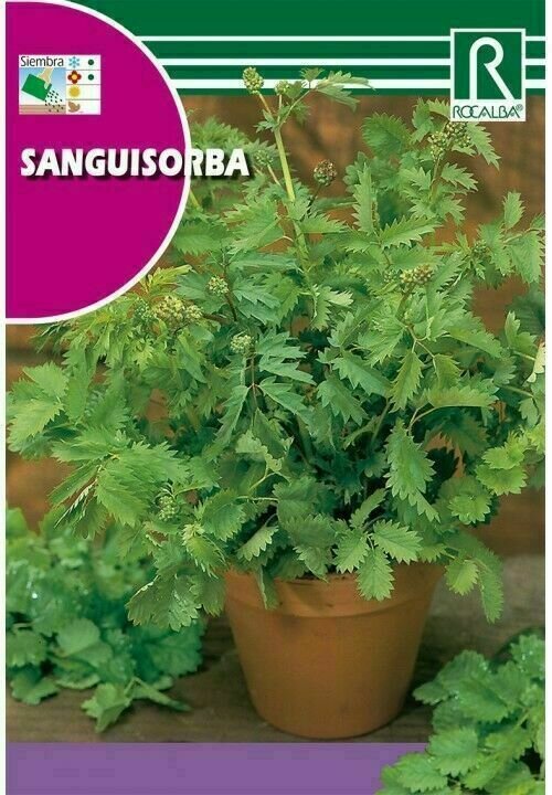 MEDICINALES, AROMATICAS Y CULINARIAS SANGUISORBA