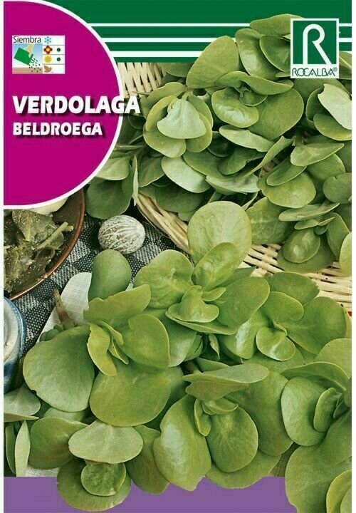 MEDICINALES, AROMATICAS Y CULINARIAS VERDOLAGA