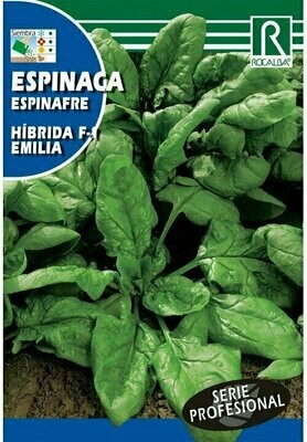 HORTALIZAS PROFESIONAL ESPINACA HIBRIDA F-1 EMILIA
