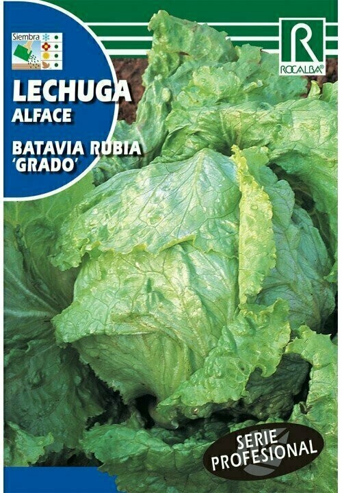 HORTALIZAS PROFESIONAL LECHUGA BATAVIA RUBIA "GRADO"