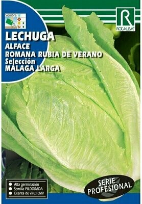 HORTALIZAS PROFESIONAL LECHUGA ROMANA RUBIA DE VERANO"MALAGA LA