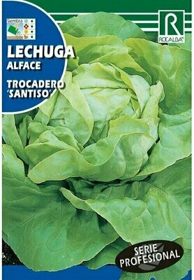 HORTALIZAS PROFESIONAL LECHUGA TROCADERO "SANTISO"