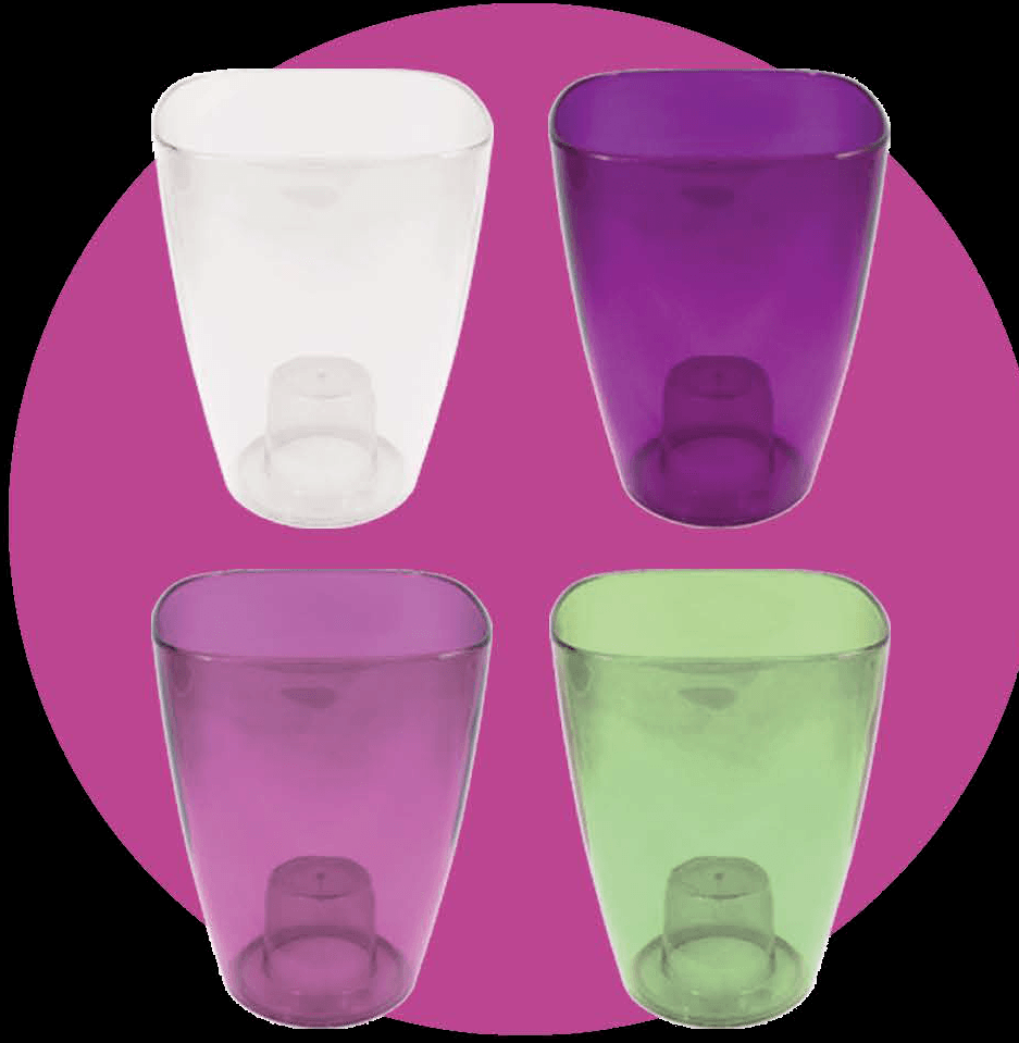 RODAS 2 MACET TRASLU. LILA 120 CAJA RODAS 2 MACET TRASLU. LILA 120 CAJA