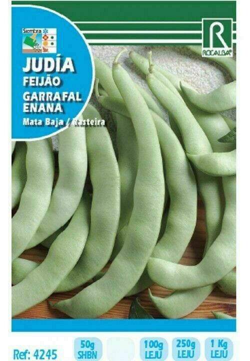 JUDIA GARRAFAL ENANA 250 GRS