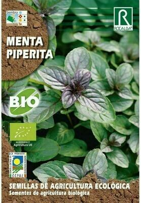HORTALIZAS ECOLOGICAS MENTA