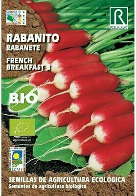 HORTALIZAS ECOLOGICAS RABANITO FRENCH BREAKFAST 3