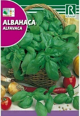 MEDICINALES, AROMATICAS Y CULINARIAS ALBAHACA