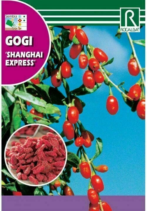 AROMATICAS Y MEDICINALES GOGI 'SHANGHAI EXPRESS'