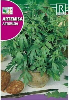 MEDICINALES, AROMATICAS Y CULINARIAS ARTEMISA