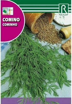 MEDICINALES, AROMATICAS Y CULINARIAS COMINO