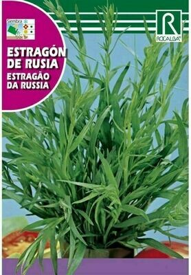 MEDICINALES, AROMATICAS Y CULINARIAS ESTRAGON DE RUSIA
