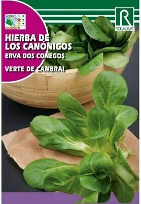 MEDICINALES, AROMATICAS Y CULINARIAS HIERBA DE LOS CANÓNIGOS