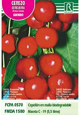 FRUTALES CEREZO GUINDO