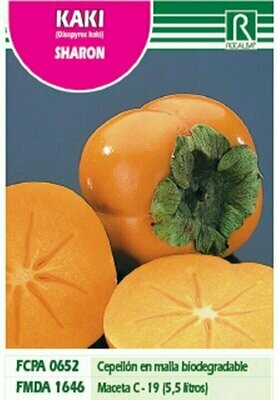 FRUTALES KAKI SHARON