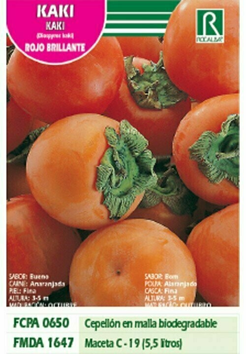 FRUTALES KAKI ROJO BRILLANTE -naranja-