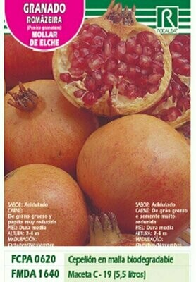 FRUTALES GRANADO MOLLAR DE ELCHE -rojo sobre amariLLO-