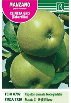 FRUTALES MANZANO REINETA GRIS (Tabardilla)