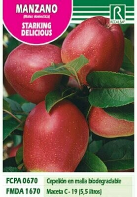 FRUTALES MANZANO STARKING DELICIOUS -rojo brillantE-