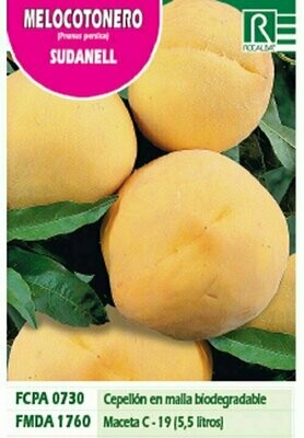 FRUTALES MELOCOTONERO SUDANELL -amarillo estr.rojO-