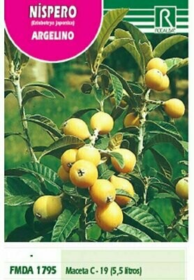 FRUTALES NISPERO ARGELINO