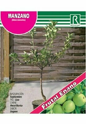 FRUTALES MANZANO ENANO