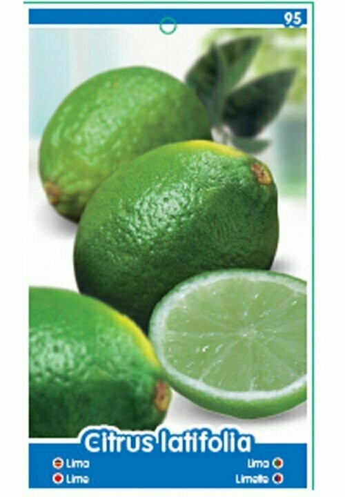FRUTALES LIMA