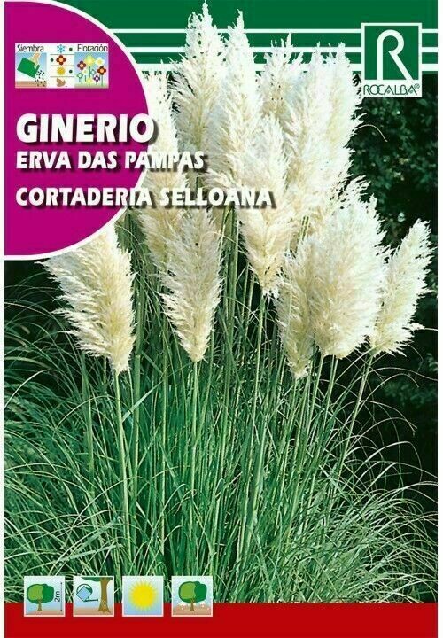 ARBOL GINERIO PLANTAS TROPICALES 