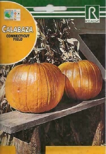 CALABAZA CONNECTICUT FIELD