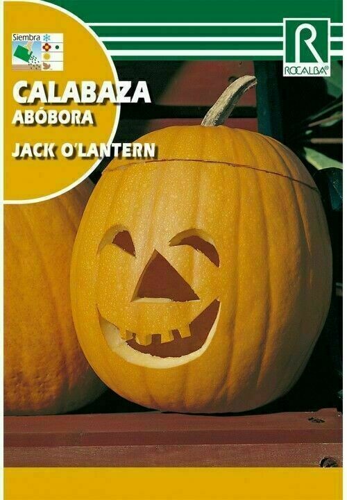 CALABAZA ROUGE VIF D'ETAMPES