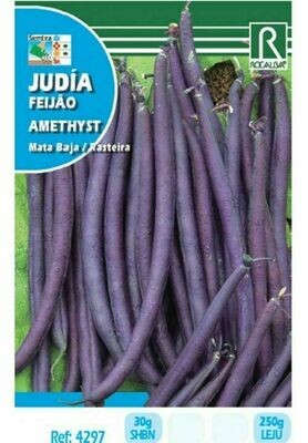 HORTALIZAS JUDIA AMETHYST 30 GRS