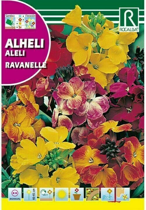 FLORES ALHELI