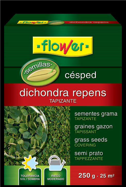 SEMILLAS CESPED DICHONDRA REPENS 250GR