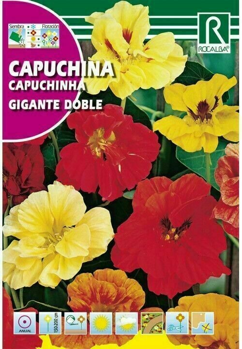 FLORES CAPUCHINA GIGANTE DOBLE