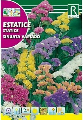 FLORES ESTATICE VARIADO