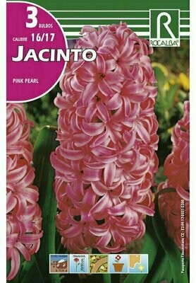 FLORES BULBOS JACINTO SPINK PEARL -ROJO CLARO BULBOS DE OTOÑO