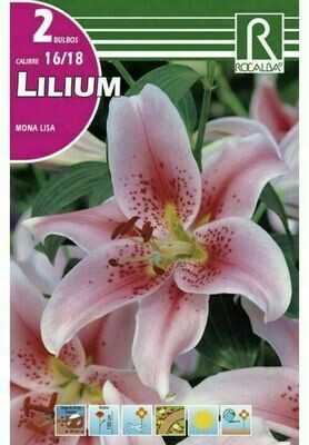 FLORES BULBOS LILIUM MONA LISA -LILA SUAVE, PUNTOS ROJOS BULBOS DE PRIMAVERA