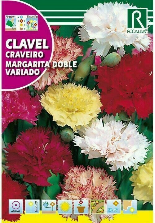 FLORES CLAVEL