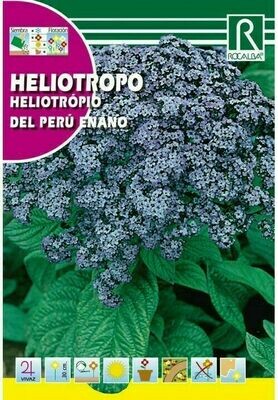 FLORES HELIOTROPO