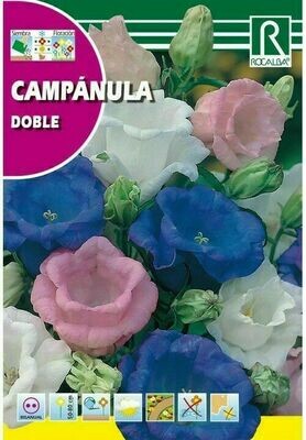 FLORES CAMPANULA