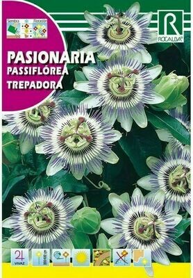 FLORES PASIONARIA