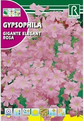 FLORES GIPSOFILA GIGANTE ELEGANT ROSA