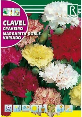 FLORES CLAVEL