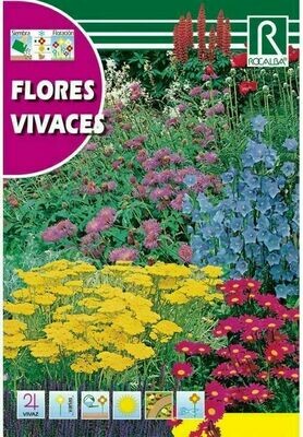 FLORES VIVACES