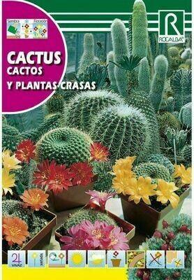 FLORES CACTUS