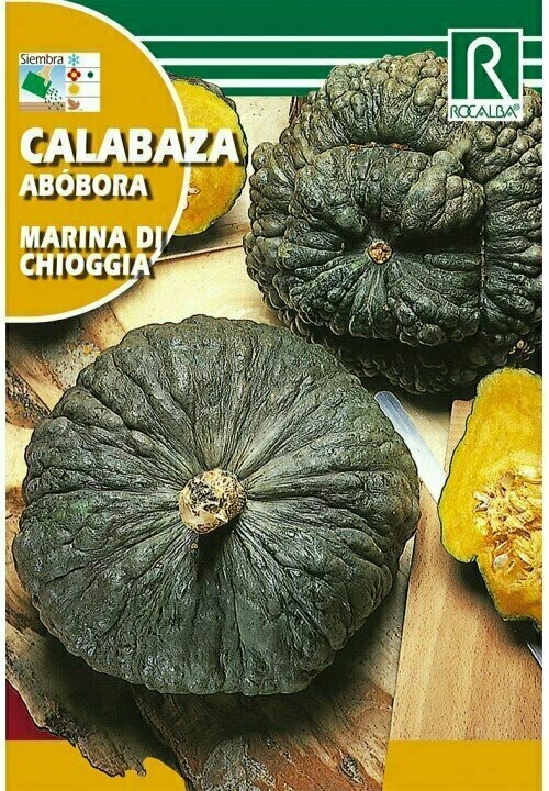 CALABAZA MARINA DI CHIOGGIA