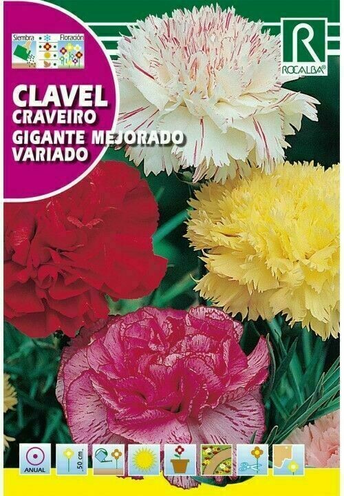 FLORES CLAVEL GIGANTE MEJORADO