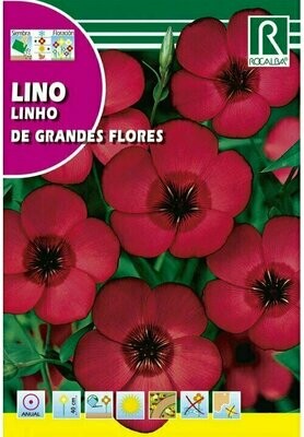 FLORES LINO