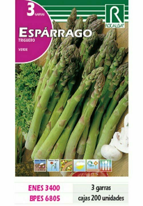 HORTALIZAS ESPÁRRAGO TRIGUERO -VERDE-