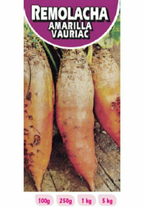 REMOLACHA AMARILLA VAURIAC 1 KG REMOLACHA AMARILLA VAURIAC 1 KG