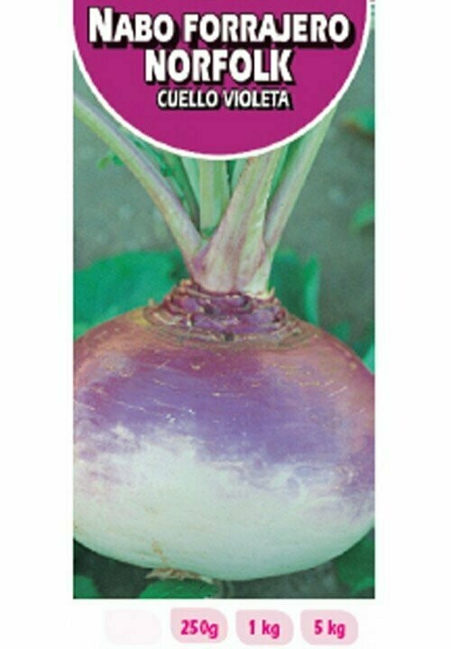 NABO REDONDO NORFOLK C/VIOLETA 1 KG